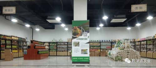 貴州戶戶達(dá) 以農(nóng)產(chǎn)品展示體驗中心為橋，守護(hù)家鄉(xiāng)風(fēng)味，服務(wù)會務(wù)展覽
